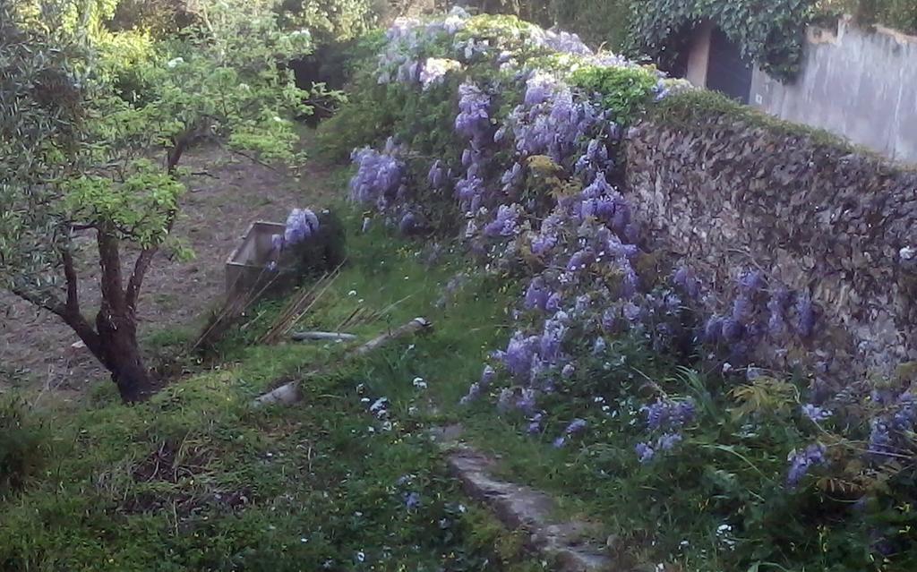 B&B Costa Lupara - Villa Murchio Alassio Esterno foto