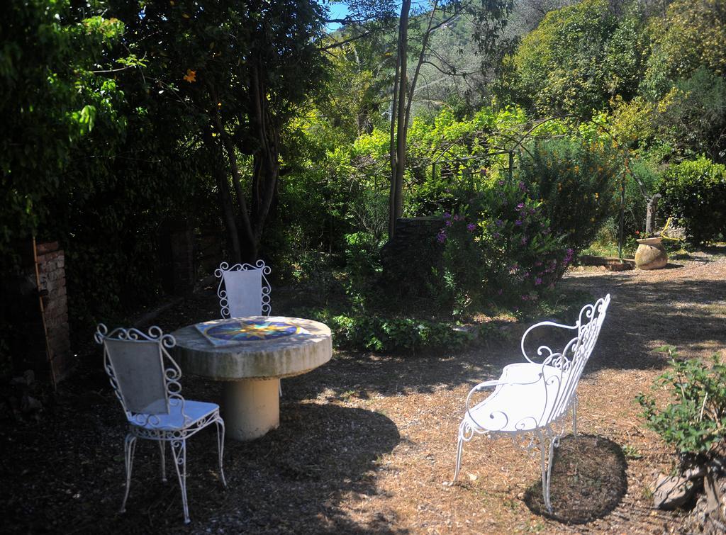 B&B Costa Lupara - Villa Murchio Alassio Esterno foto